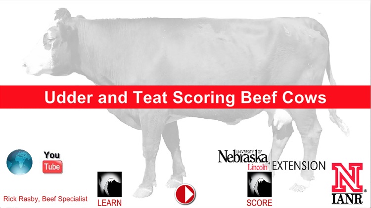 NUBeef-UTS