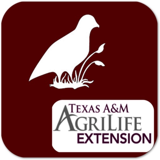 Northern Bobwhite Management Calendar icon