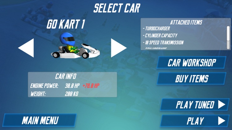 Go-Kart Champion