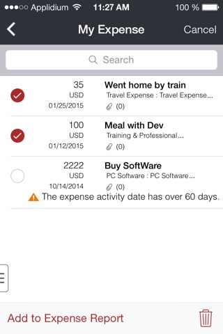 AvePoint HRIS - Expense screenshot 3