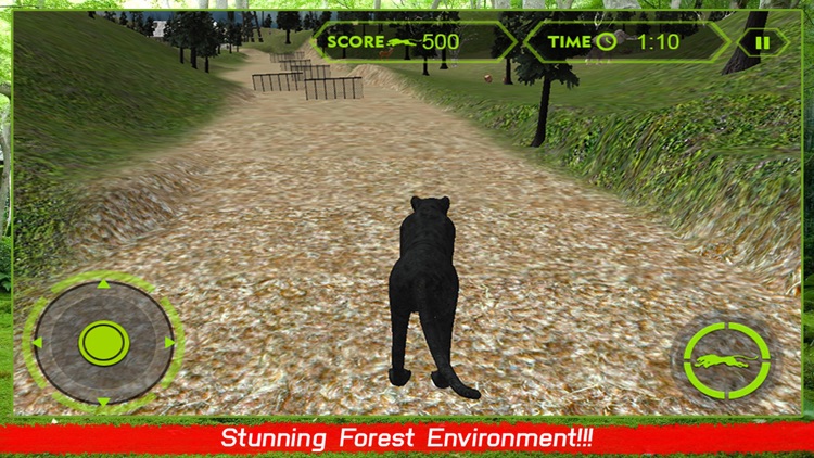 Wild Black Panther Attack Simulator 3D – Hunt the Zebra, Deer & Other Animal in Wildlife Safari screenshot-3