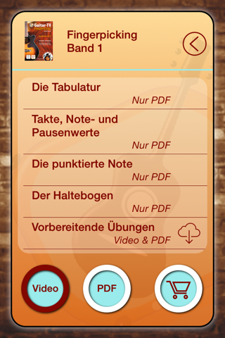 Fingerpicking-Fingerstyle für Anfänger screenshot 3