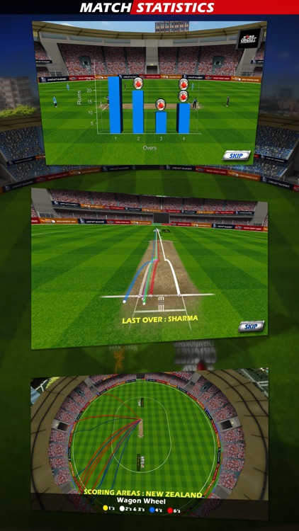 World Cricket Championship screenshot-3