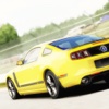 Race Ring: Mustang Rush