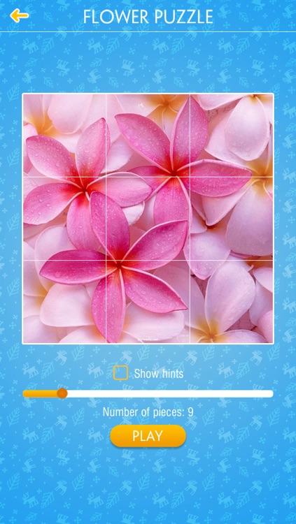 Jigsaw Puzzle - Flower