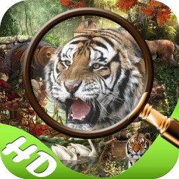 Mystery in Jungle Hidden Objects edition