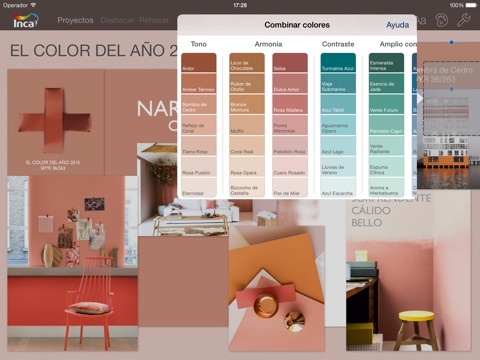 INCA Colour Concept screenshot 3