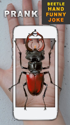 Beetle Hand Funny Joke(圖2)-速報App