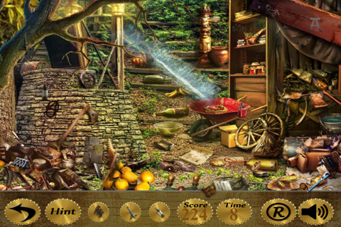 Hidden Games screenshot 4