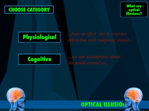 The Brain Optical Illusions Gallery screenshot 2