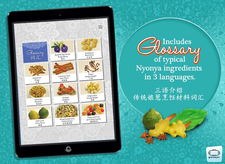 Aunty Tan's Nyonya Recipes screenshot-3