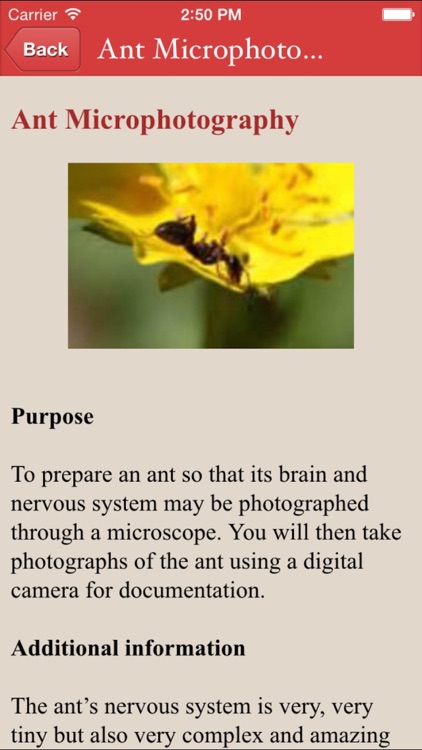 Amazing 200+ Science Project