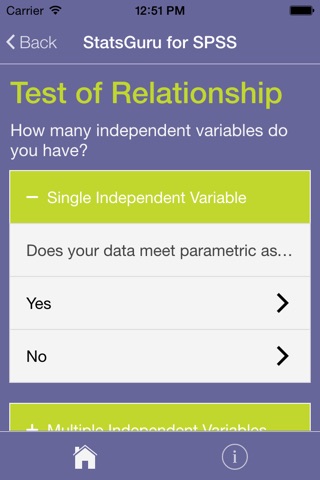 StatsGuru for SPSS 22 screenshot 2