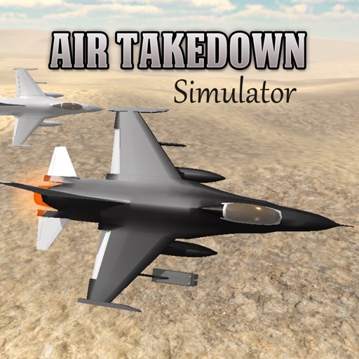 Air Takedown 3D Flight Simulator Pro icon