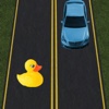 Ducks on the Road