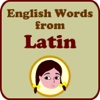 Spelling Doll English Words From Latin Vocabulary Quiz Grammar