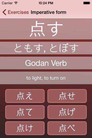 Japanese Grammar Conjugation Drills screenshot 4