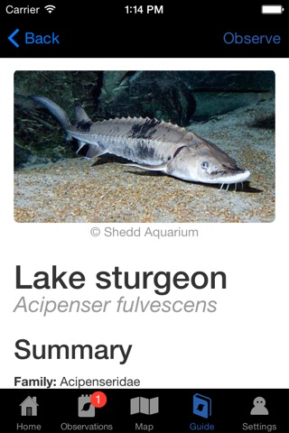 Great Lakes Fish Finder screenshot 2