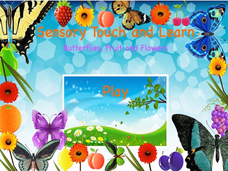 Sensory Touch and Learn - Butterflies, Fruit and Flowers