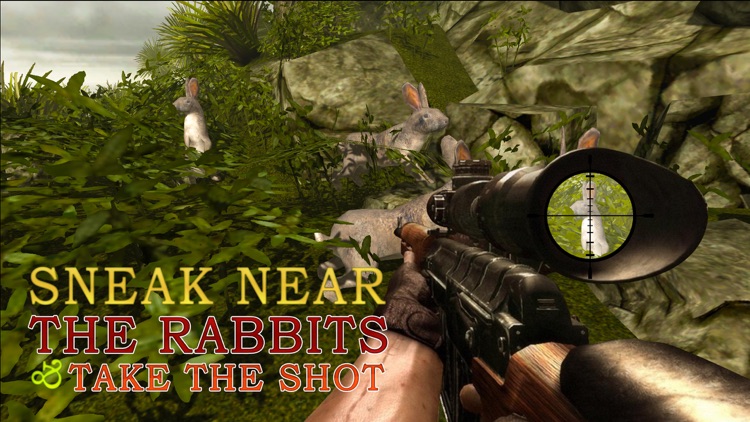 Wild Rabbit Hunter Simulator – Shoot jungle animals in this sniper simulation game