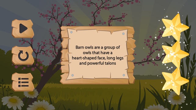 Owls - Learn fun facts about owls while finding matching pai(圖2)-速報App