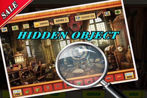 Hidden Object : Personal Mystery screenshot 2