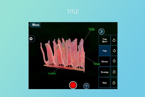 Intestinal Villi 3D screenshot 3