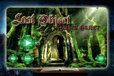 Lost Objects - Hidden Objects screenshot 3