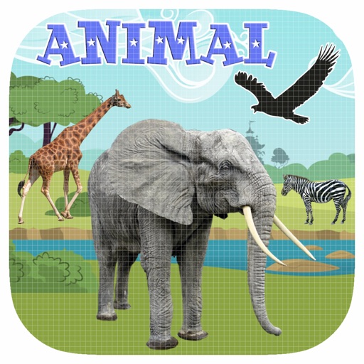 Animal Games For Kids Icon