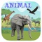 Animal Games For Kids