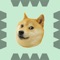 Doge! Jumping through Spikes