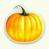 Pumpkin's Year