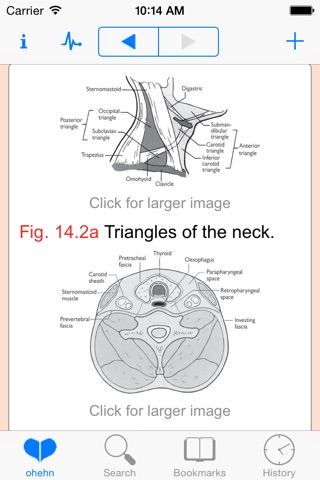 Oxford Handbook of ENT and Head and Neck Surgery, Second Edition screenshot 3