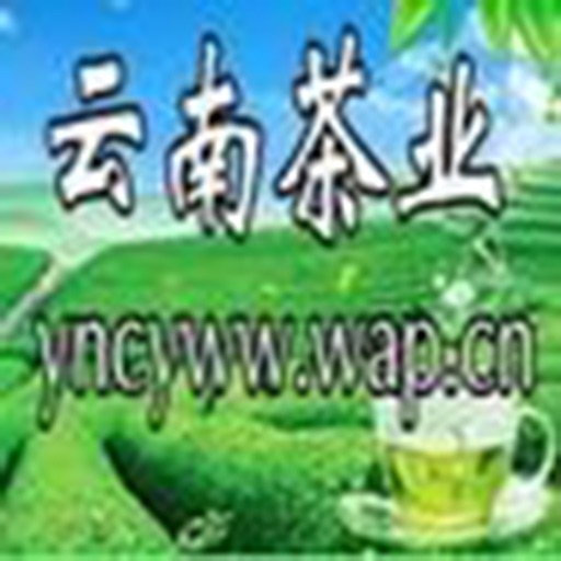 云南茶业