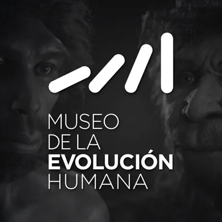 Museo de la Evolución Humana Читы