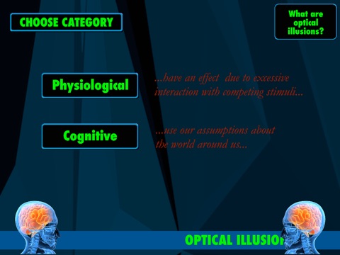 The Brain Optical Illusion Gallery FREE screenshot 2