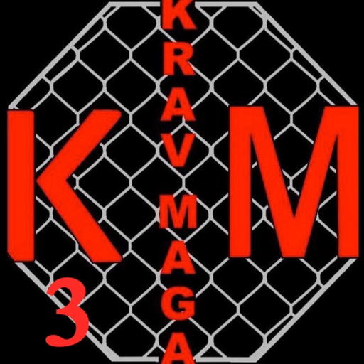 Krav Maga 3