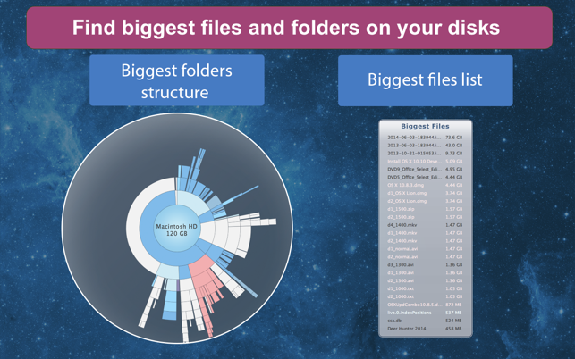 DiskExpert: Free Up Disk Space(圖3)-速報App