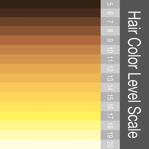 Hair Color Level Scale by Hirokazu Ito