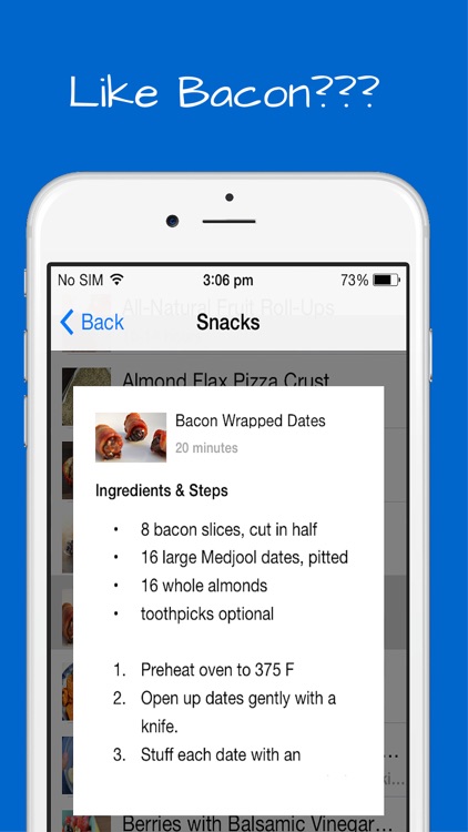 Paleo Snacks Recipes - Breakfast, Lunch and Appetizers with quick, easy and simple meals.