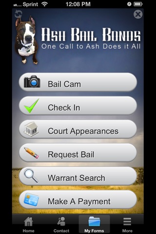 Ash Bail Bonds screenshot 3