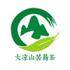 大凉山苦荞茶