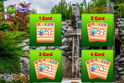 Waterfall Bingo Game screenshot 2