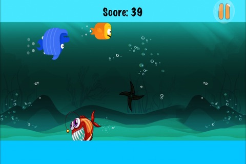 Catch the Fish - Underwater Animal Chasing Rush screenshot 4