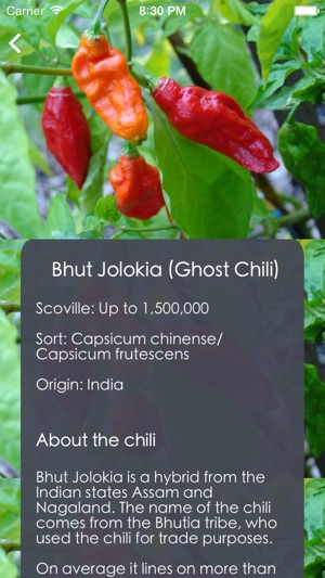 Chili Guide, Recipes & Garden(圖3)-速報App