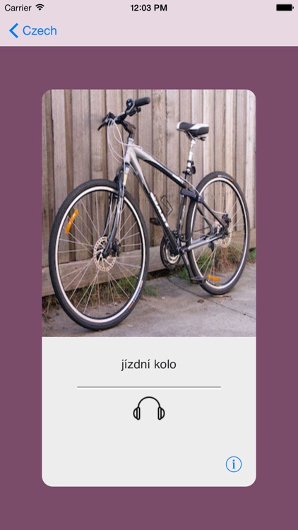 Learning Czech 400 Basic Words screenshot-4