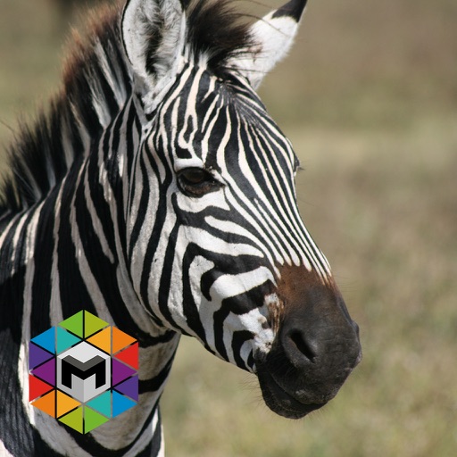 Zebra Simulator iOS App