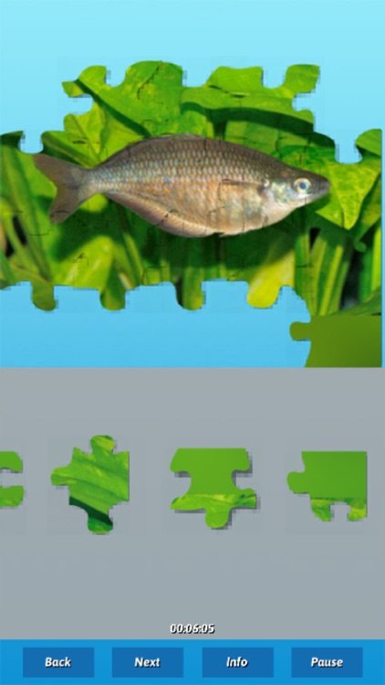 Fish Puzzles screenshot-3