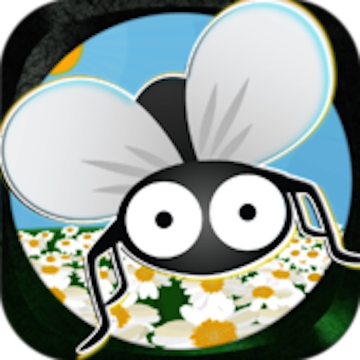 Fly Smasher - Beat The Turtle Maze iOS App