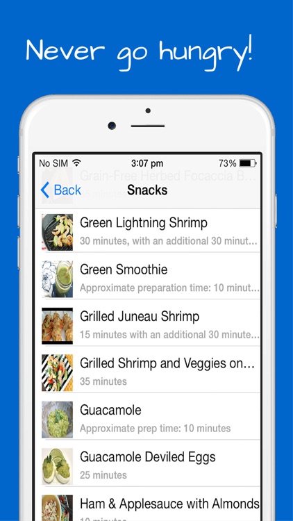 Paleo Snacks Recipes - Breakfast, Lunch and Appetizers with quick, easy and simple meals.